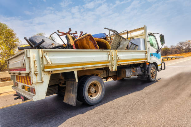 Best Office Cleanout  in Chama, NM